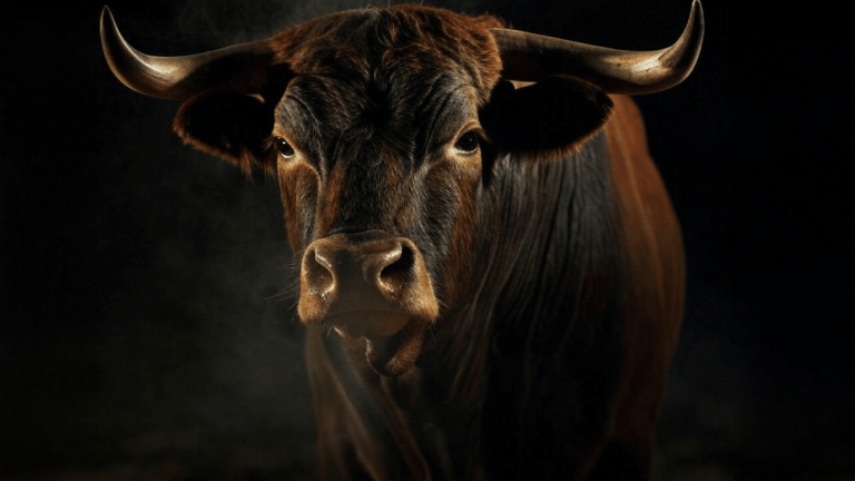 Bitcoin Price Analysis: Bulls Struggle as $94K Support Faces Ultimate Test