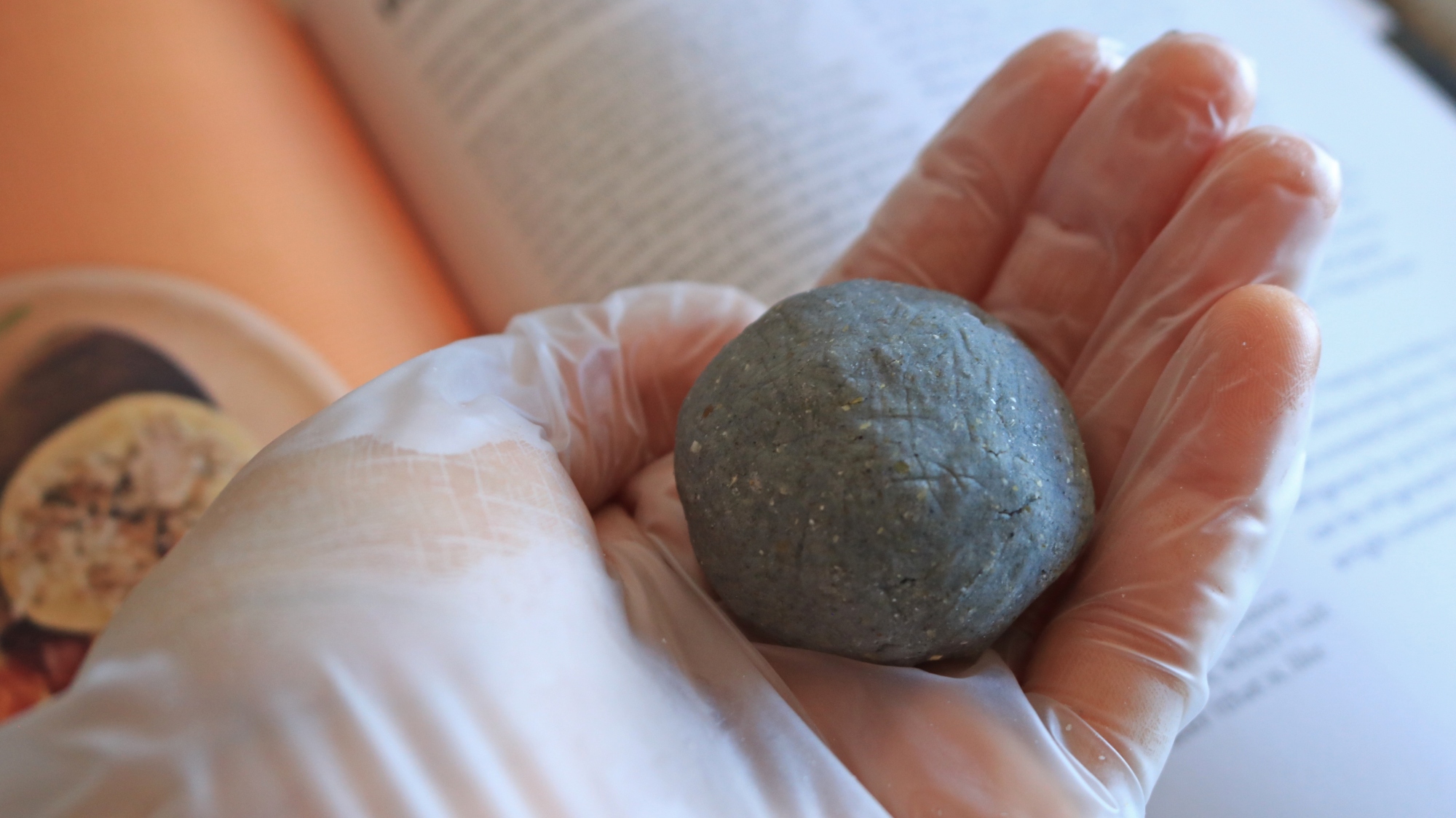 A hand holding a ball of blue corn masa harina.