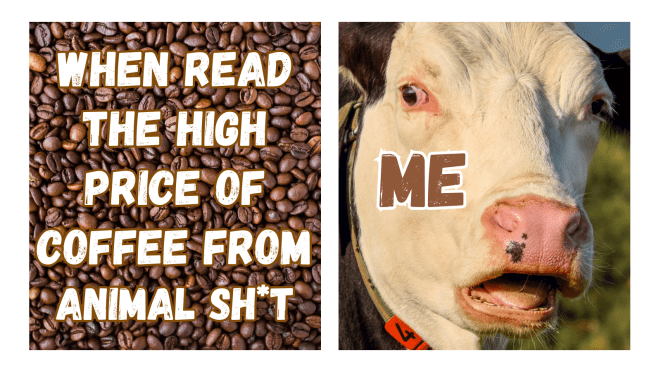 no-coffee-today-1.png