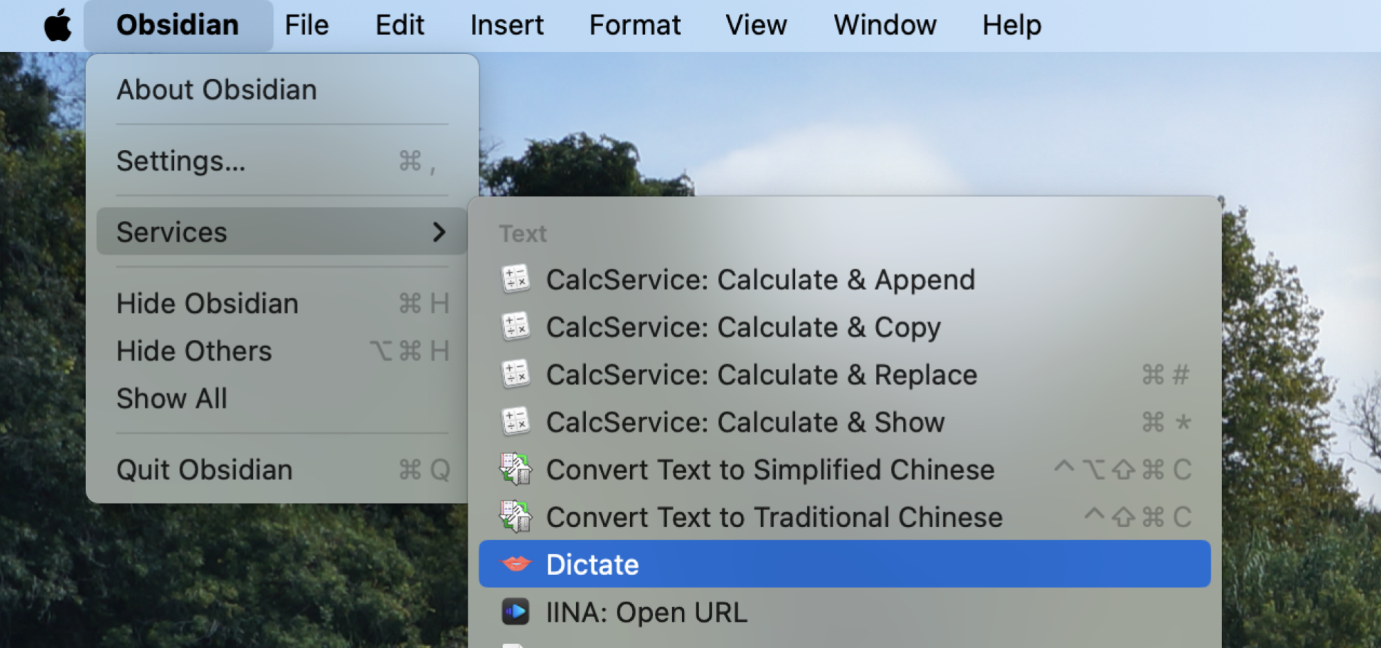 The services menu can also be found in the menu bar. Dictact is once again highlighted. 